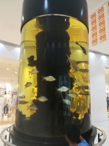 Poh Kong